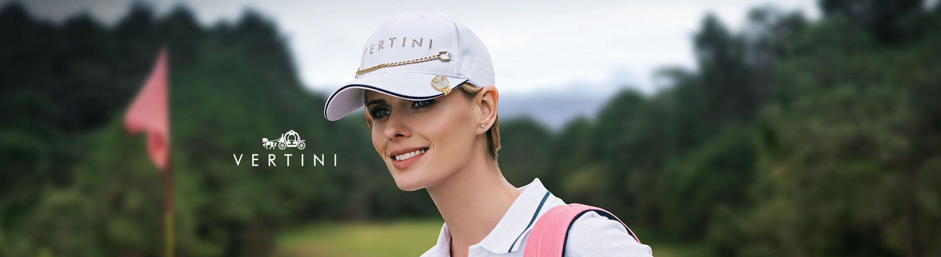 VERTINI vertini